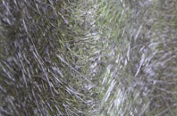 Thorpe On The Hill fibreglass roof work